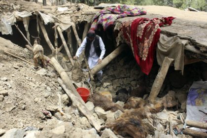 فائو: زمین‌لرزه‌ی هرات منجر به تلف‌شدن هزار و ۳۰۰ راس مواشی شده‌است