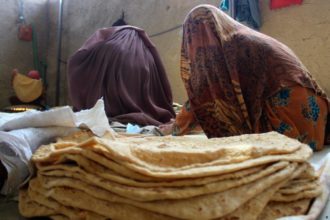 کارمندان زن نظام پیشین در استان هرات از بی‌سرنوشتی و عدم اشتغال مناسب شکایت دارند